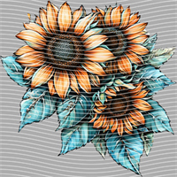 Country music-CM-1231